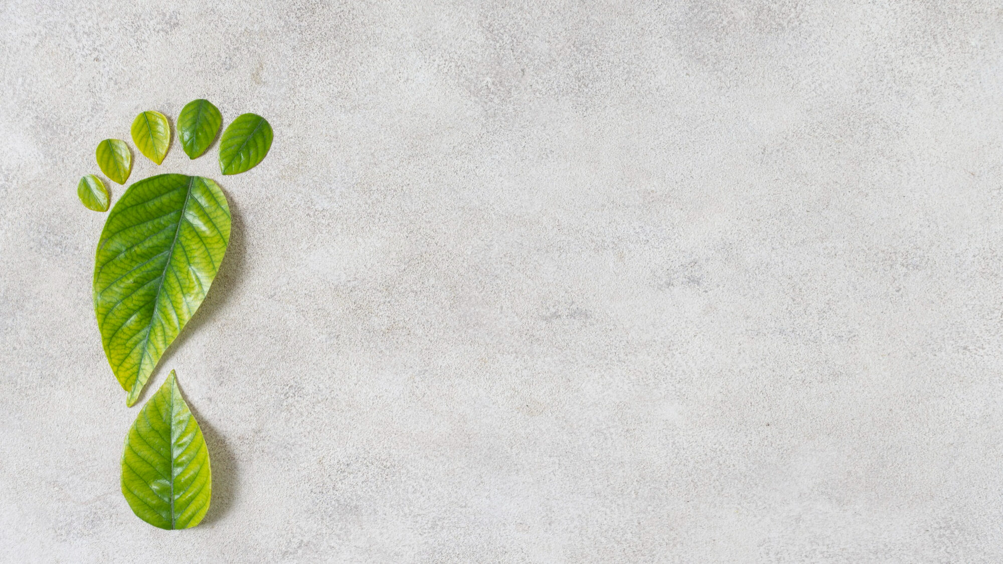 Mide tu Huella de Carbono Mide tu Huella de Carbono