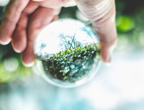 Economía Circular para Reducir la Huella de Carbono