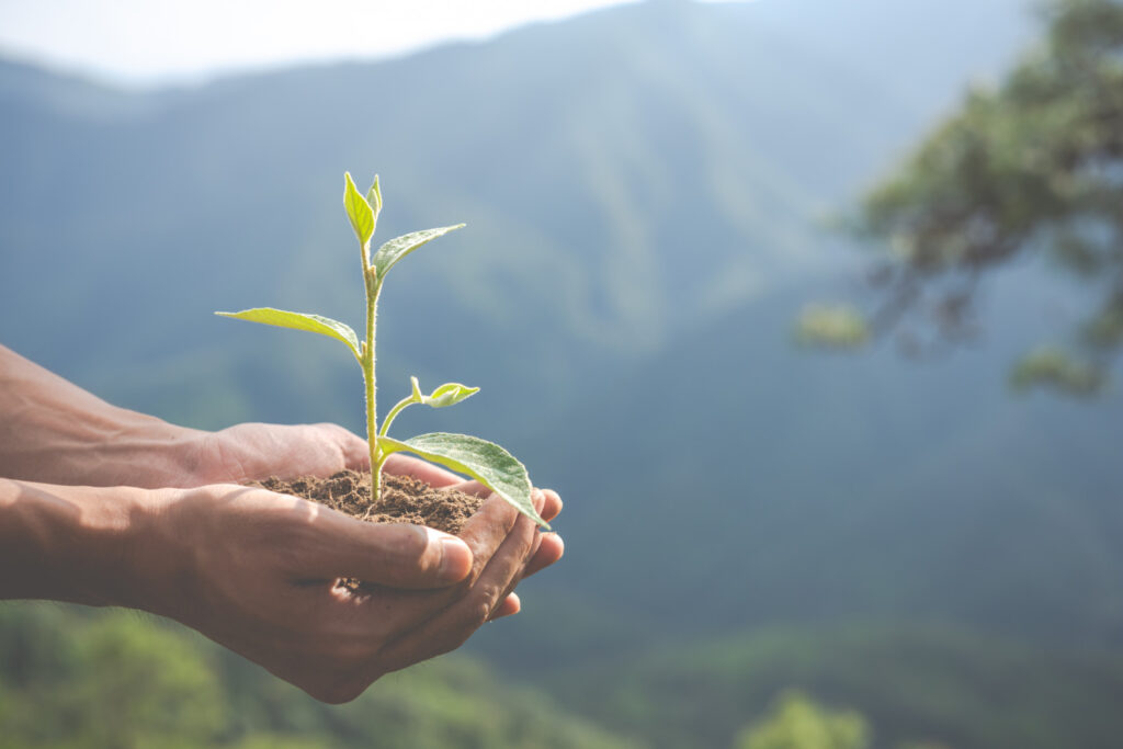 La agricultura regenera