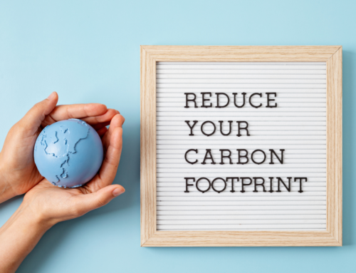 5 Maneras de Reducir las Emisiones mediante la Economía Circular