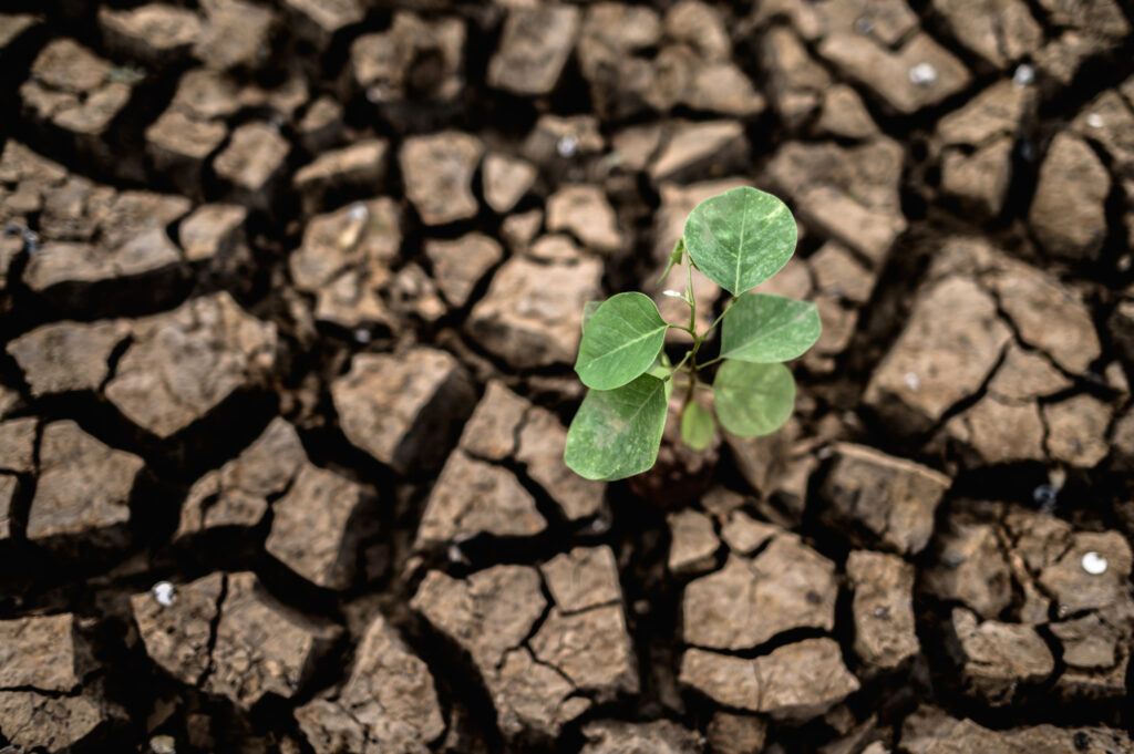 Plan Climático
