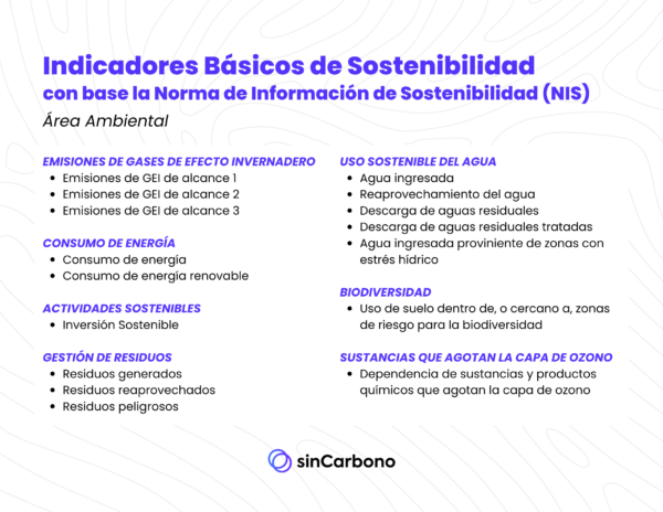¿Qué encontrarás en la NIS en materia ambiental? - sinCarbono