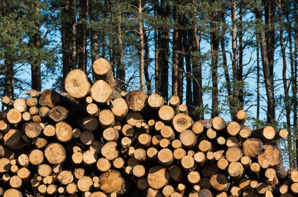 Stacked Pulpwood Biomass